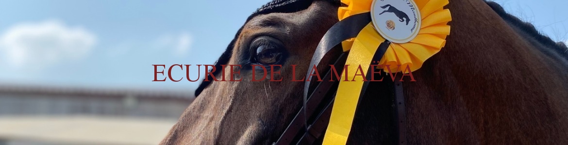 ECURIE DE LA MAËVA